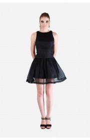 The LITTLE BLACK DRESS 